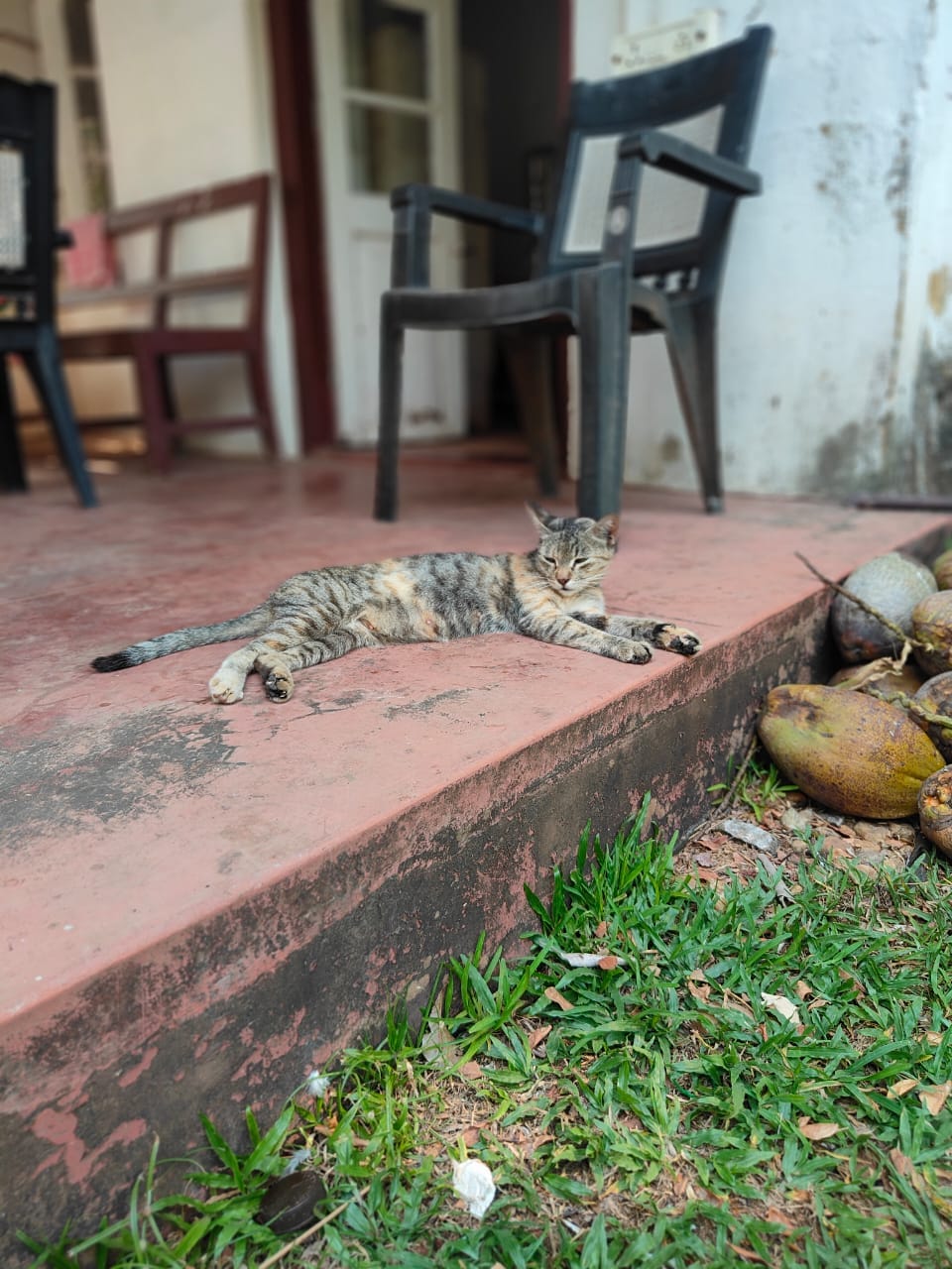 Who's Afraid of Boredom? Post image